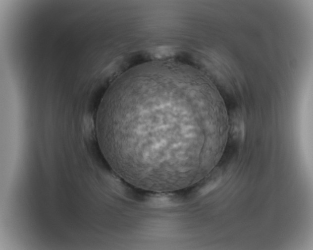X0000115560523200911061555