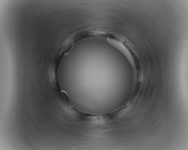 X0000115560524200911061555