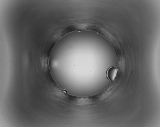 X0000115560525200911061555