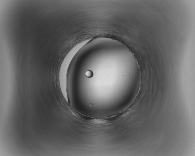 X0000115560528200911061555