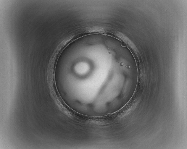 X0000115560529200911061555