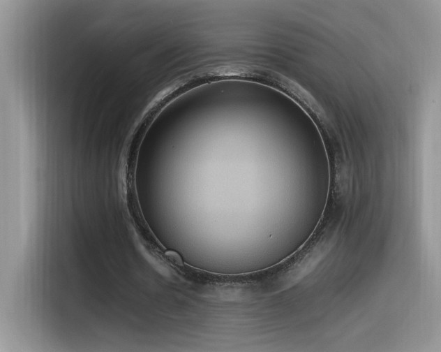 X0000115560530200911061555