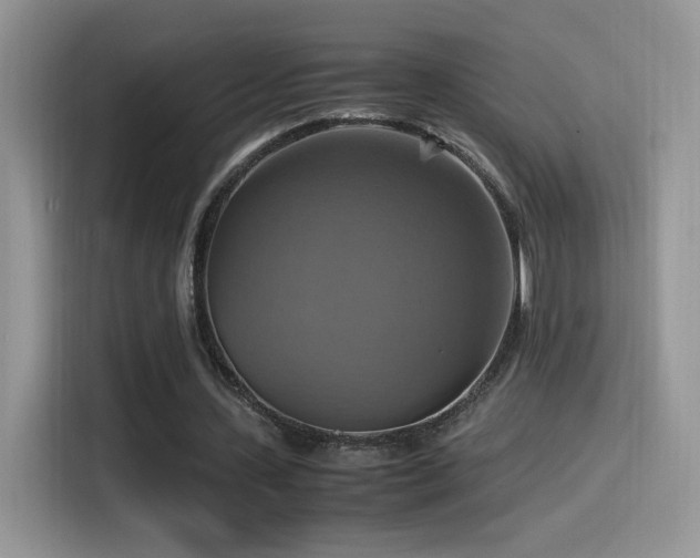 X0000115560531200911061555