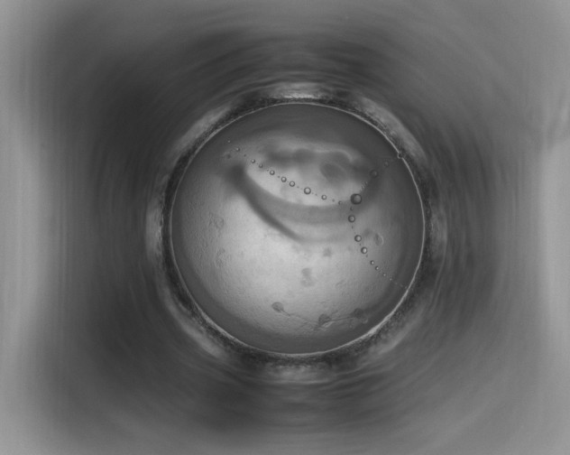 X0000115560533200911061555