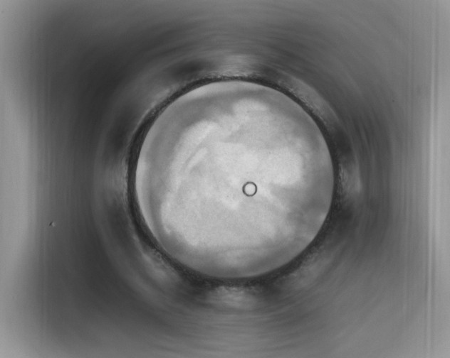 X0000115560534200911061555