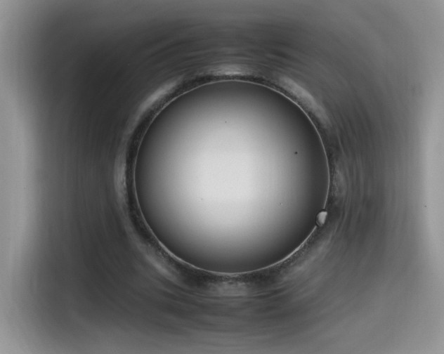 X0000115560535200911061555