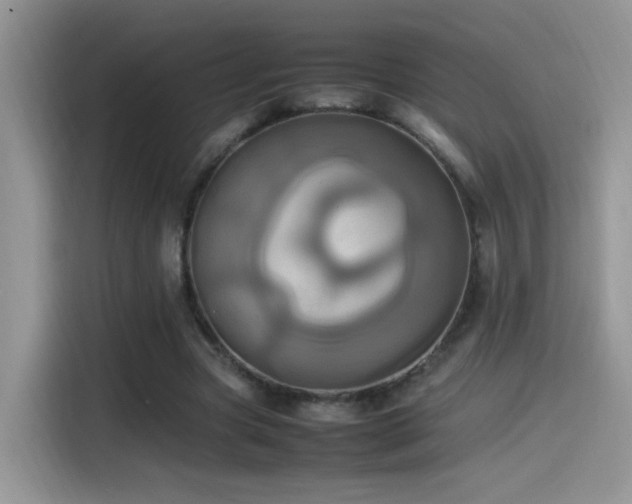 X0000115560537200911061555