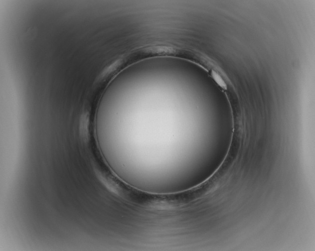 X0000115560538200911061555