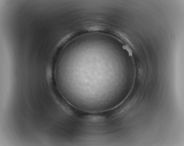 X0000115560539200911061555