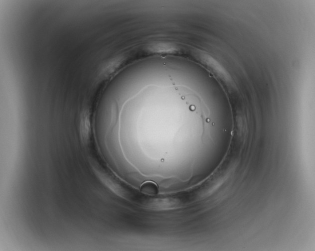 X0000115560541200911061555