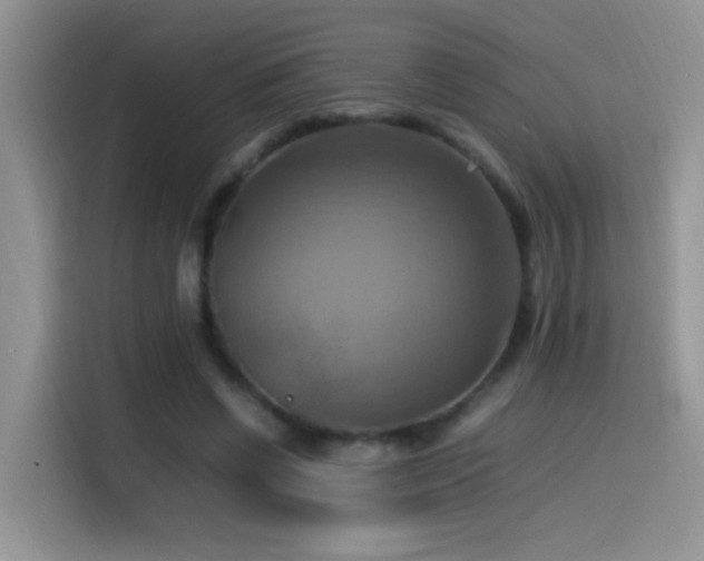 X0000115560542200911061555