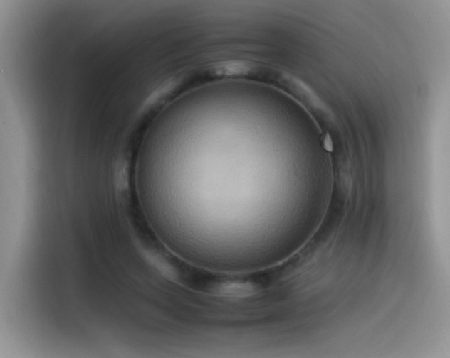 X0000115560543200911061555