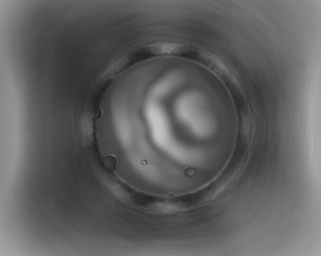 X0000115560545200911061555