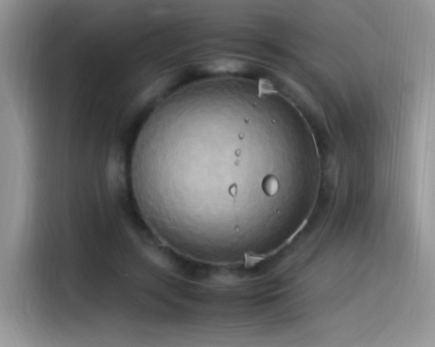 X0000115560547200911061555