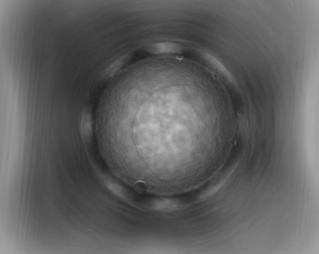 X0000115560549200911061555