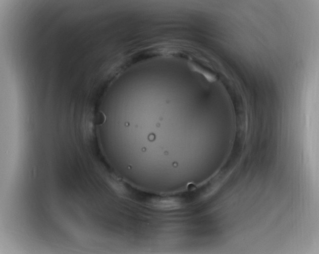 X0000115560553200911061555