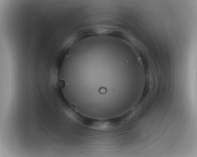 X0000115560554200911061555