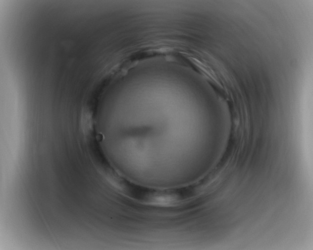 X0000115560555200911061555