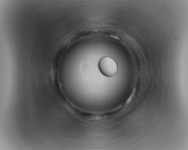 X0000115560558200911061555