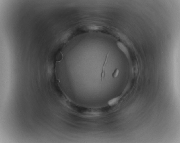 X0000115560559200911061555