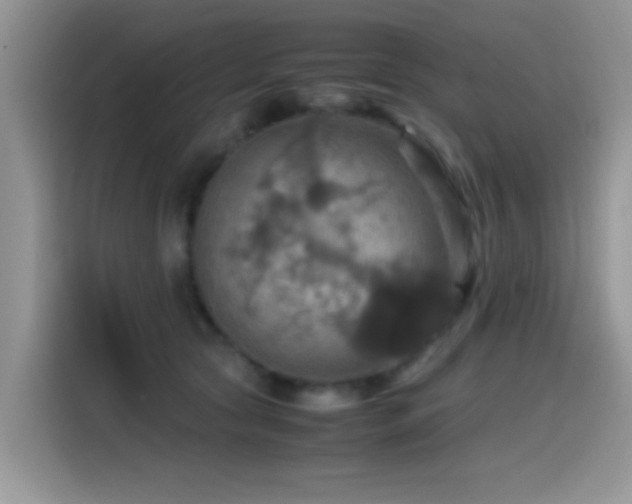 X0000115560561200911061555
