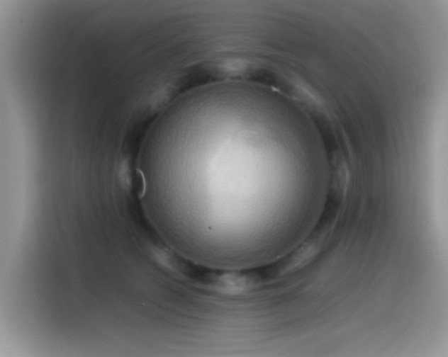 X0000115560562200911061555