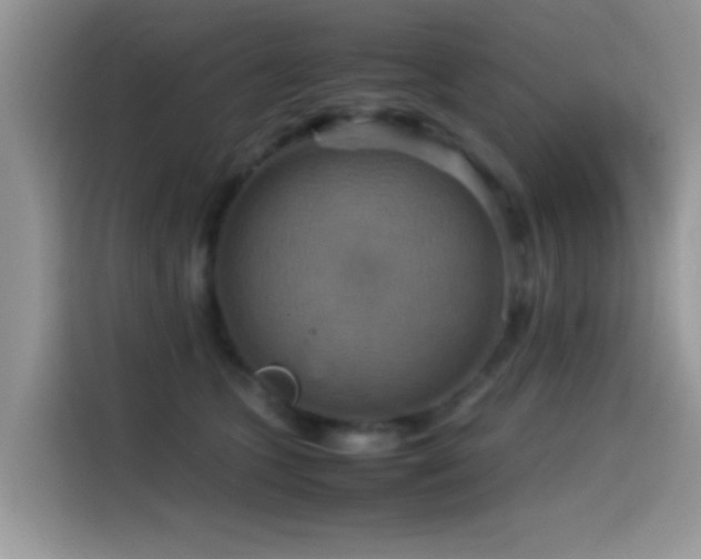 X0000115560563200911061555