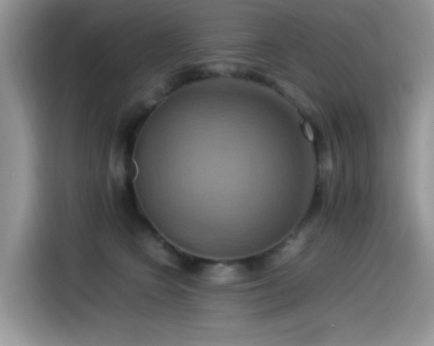 X0000115560566200911061555