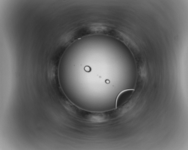 X0000115560567200911061555