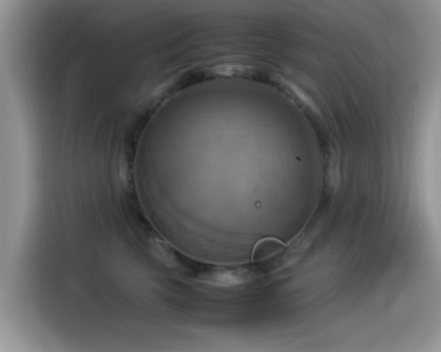 X0000115560569200911061555