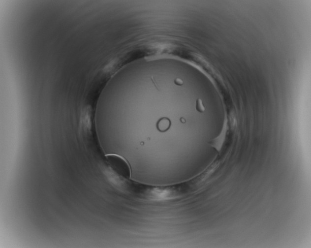 X0000115560570200911061555
