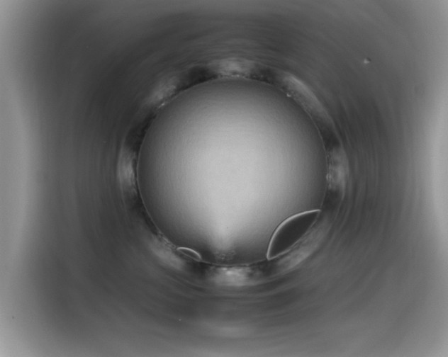 X0000115560573200911061555
