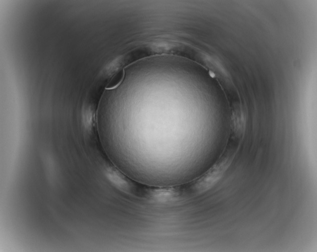X0000115560574200911061555