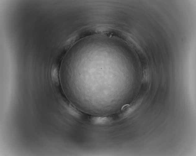 X0000115560575200911061555