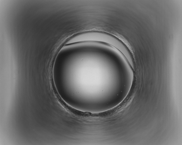 X0000115560577200911061555