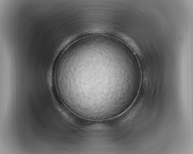 X0000115560578200911061555