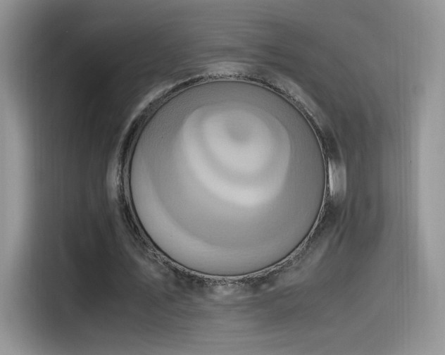 X0000115560579200911061555