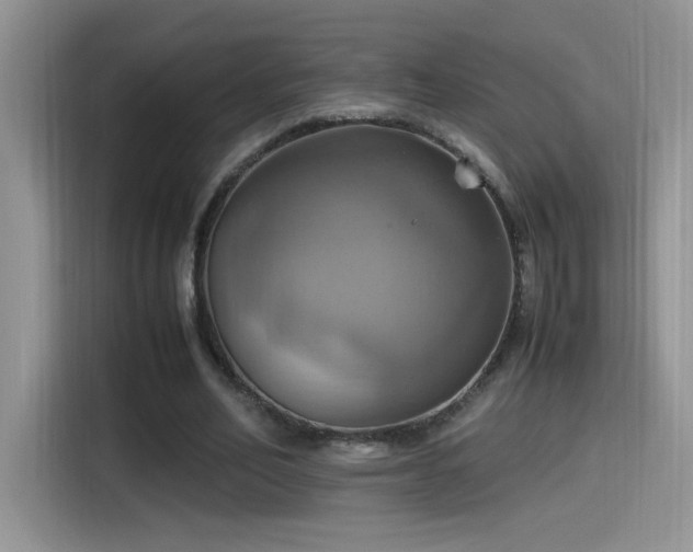 X0000115560582200911061555