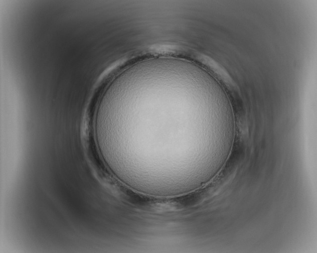 X0000115560583200911061555