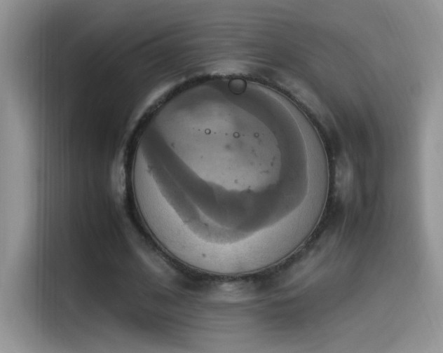 X0000115560584200911061555