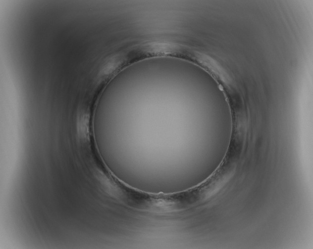 X0000115560585200911061555