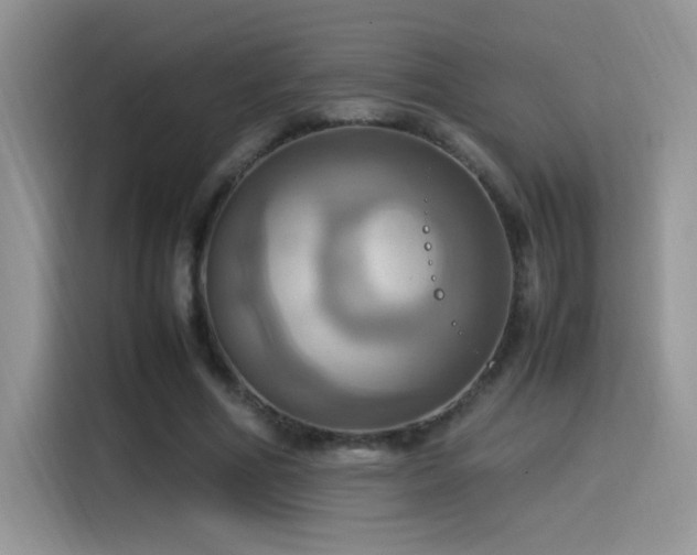 X0000115560586200911061555