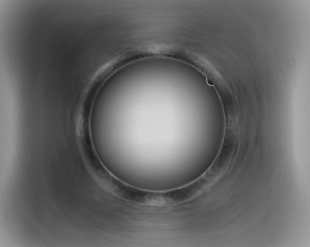 X0000115560587200911061555