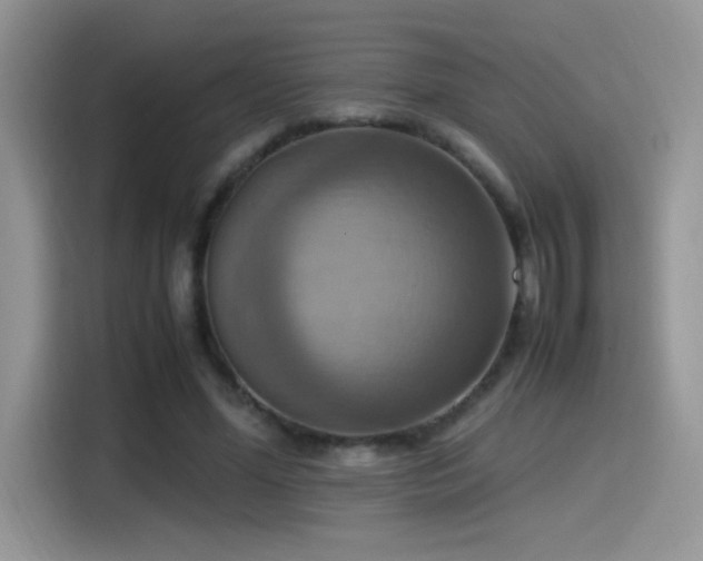 X0000115560588200911061555