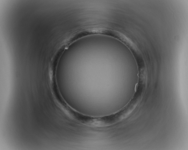 X0000115560589200911061555