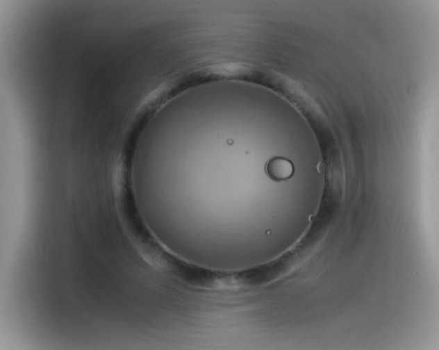 X0000115560591200911061555