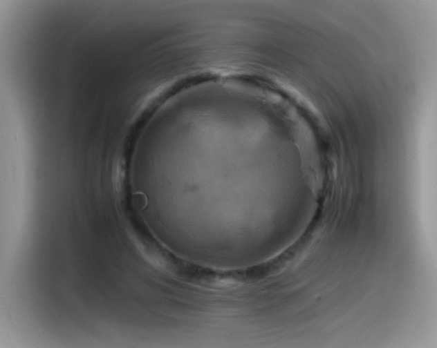 X0000115560592200911061555