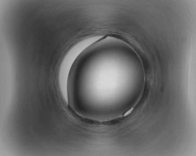 X0000115560593200911061555