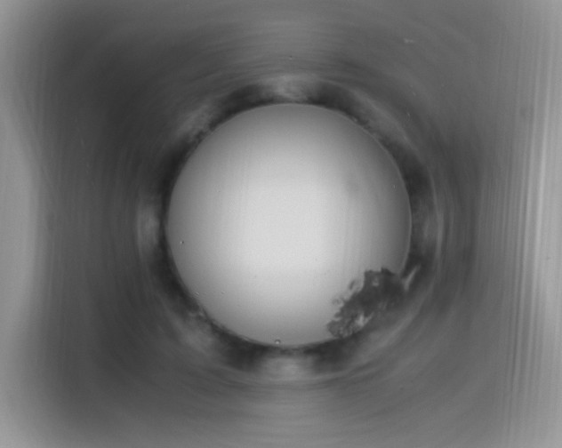 X0000115560595200911061555