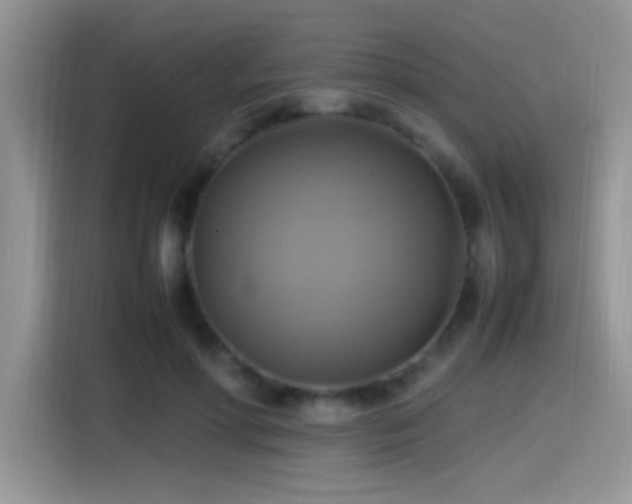 X0000115560598200911061554